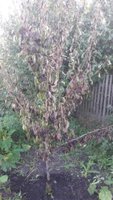 20160809_183935.jpg