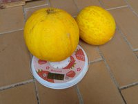 DSC05234-02.jpg