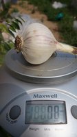 DSC07395к.jpg