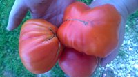 WP_20160811_004.jpg