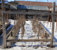 IMG_4876.jpg
