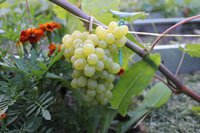IMG_6063.jpg