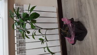 20160815_170735.jpg