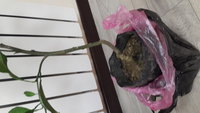 20160815_170726.jpg