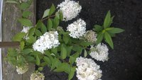 WP_20160813_047.jpg