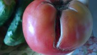 WP_20160813_006.jpg