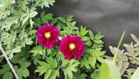 20160625_110948.jpg