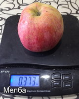 2016-08-14 14.21.19.jpg