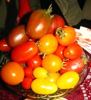 IMG_1246-1.jpg