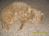 SAM_1250.JPG