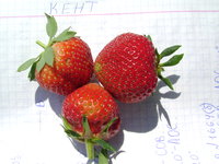 DSC04227.JPG