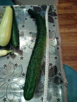 IMG-20160810-WA0009.jpg