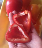 image.jpeg