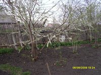 Московская комета.