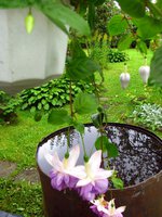 IMG_1378.JPG