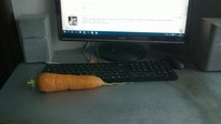 WP_20160825_001.jpg