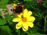 IMG_1404.JPG