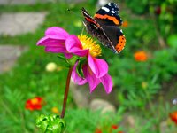 IMG_1405.JPG