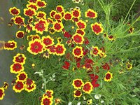 092-4.jpg