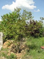 DSC04592.JPG