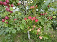 DSC05272-01.jpg