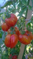 WP_20160828_013.jpg