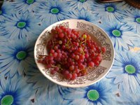 2016-08-07somerset.jpg