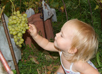 DSC09939-.jpg