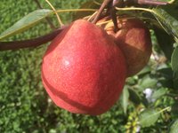 IMG_5218.JPG