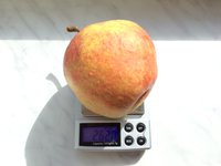 IMG_5260.JPG
