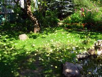 IMG_1390.JPG