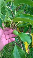WP_20160904_009.jpg