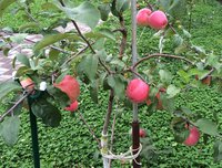 IMG_5323.JPG