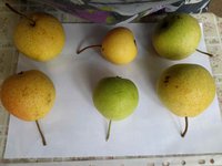 IMG_20160911_122037.jpg