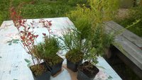WP_20160912_005.jpg