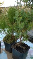 WP_20160912_007.jpg
