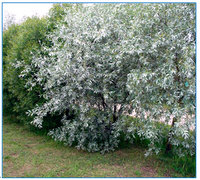 img3.jpg