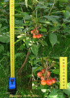 P1080145-3.jpg