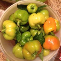 IMG_4698.JPG