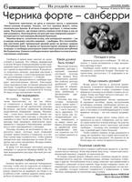 Санберри.png