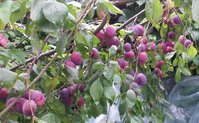 20150906_140153.jpg