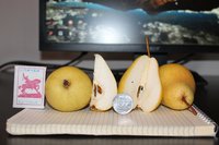 IMG_9416.JPG