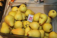 IMG_9414.JPG