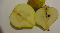DSC00378.jpg