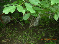 DSCN1354.JPG
