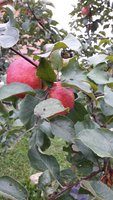 20160911_135110.jpg