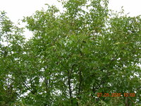 DSCN1364.JPG