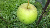 20160909_124356.jpg