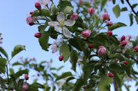 IMG_3497.jpg