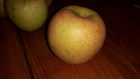 20160927_215217.jpg